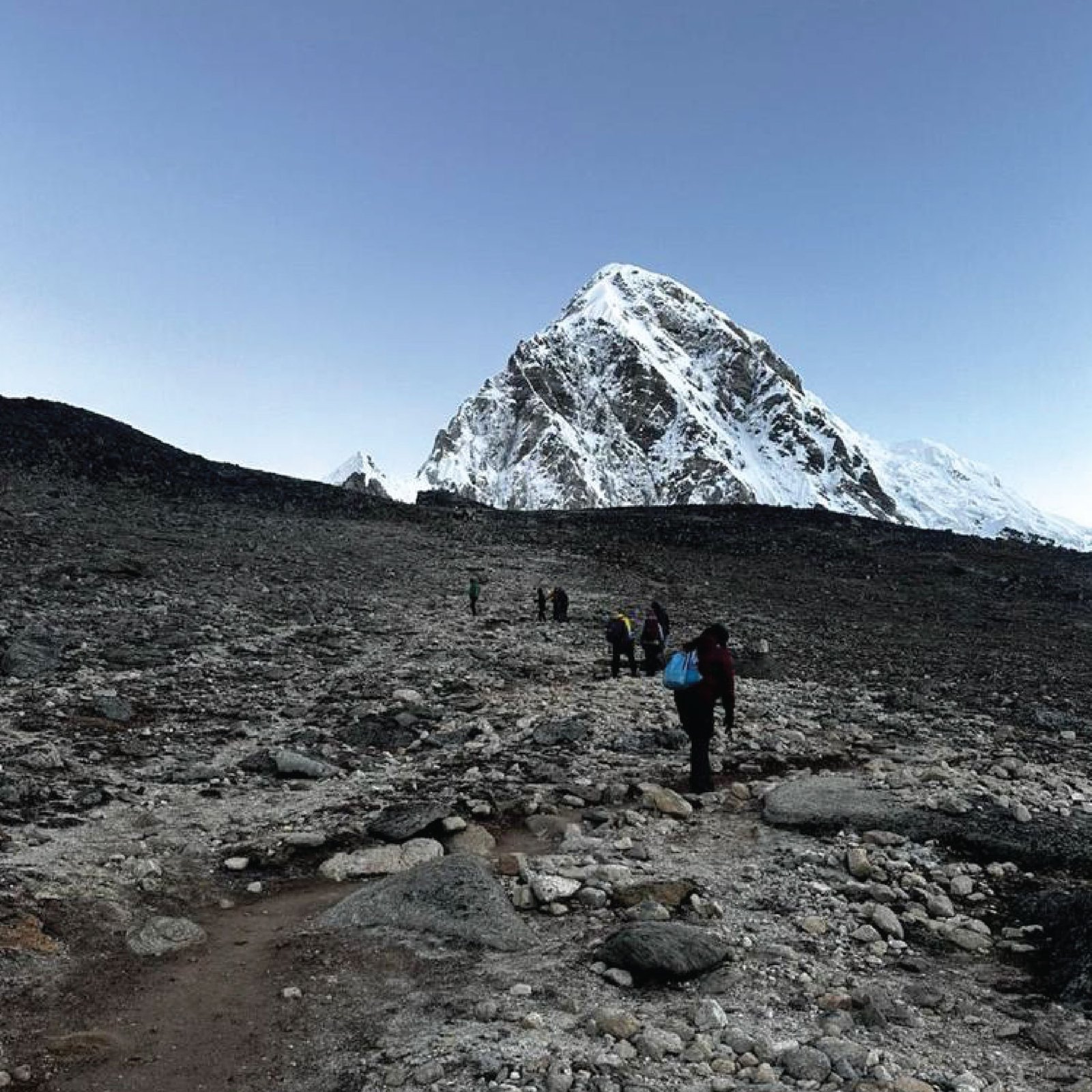 Cedar path with mist